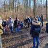 02 Aktion Februar 25 Tiere im Winterwald